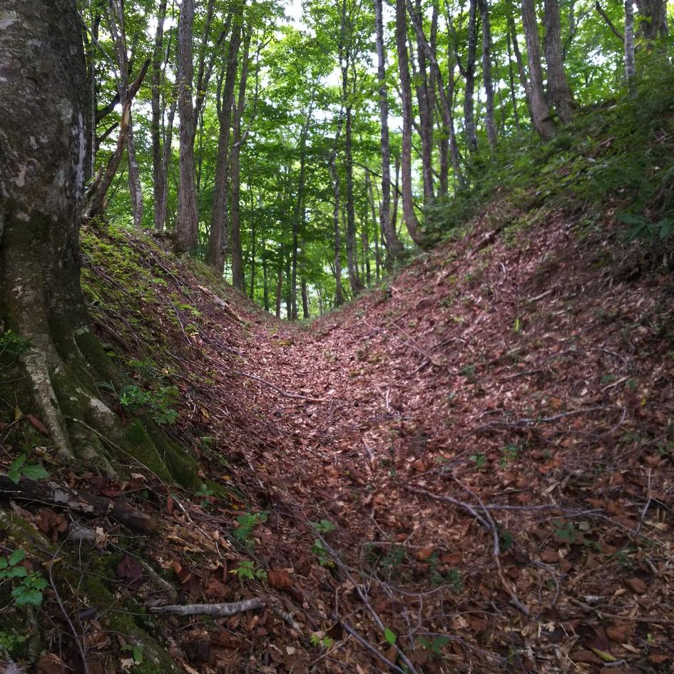 桧原城