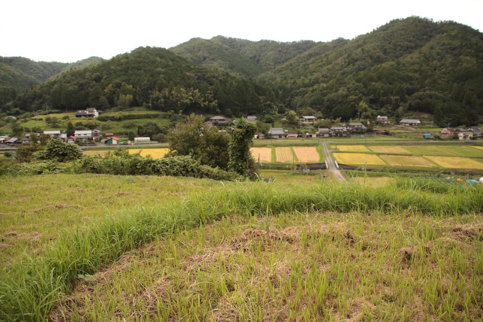 細見辻城