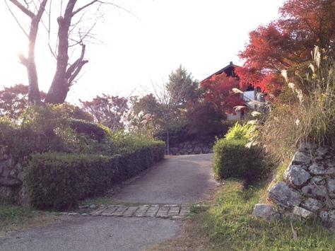 鳥羽山城