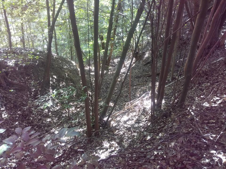 広見城