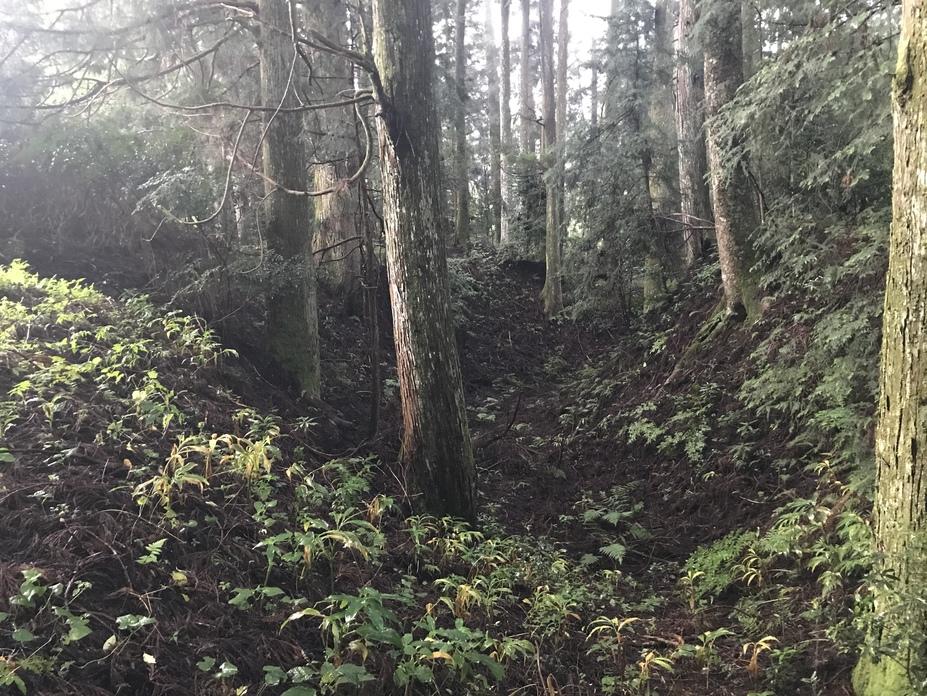 小長井城