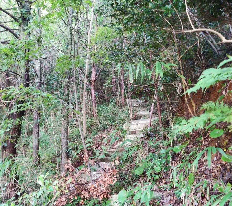 丸山城
