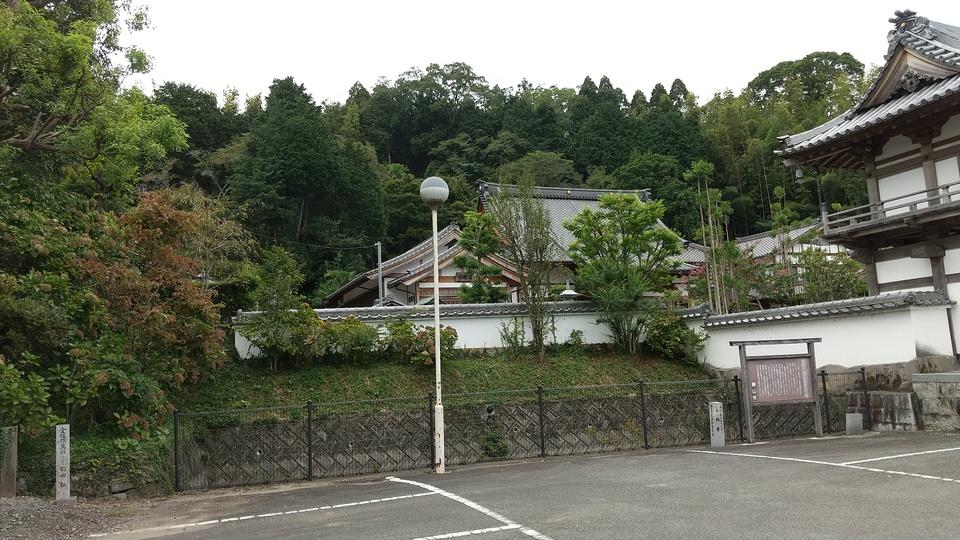 沢田城