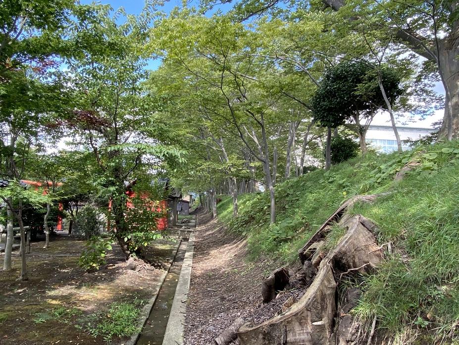 亀ヶ崎城