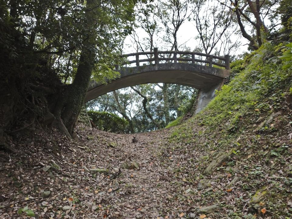 朝日山城