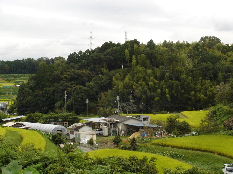 田原城