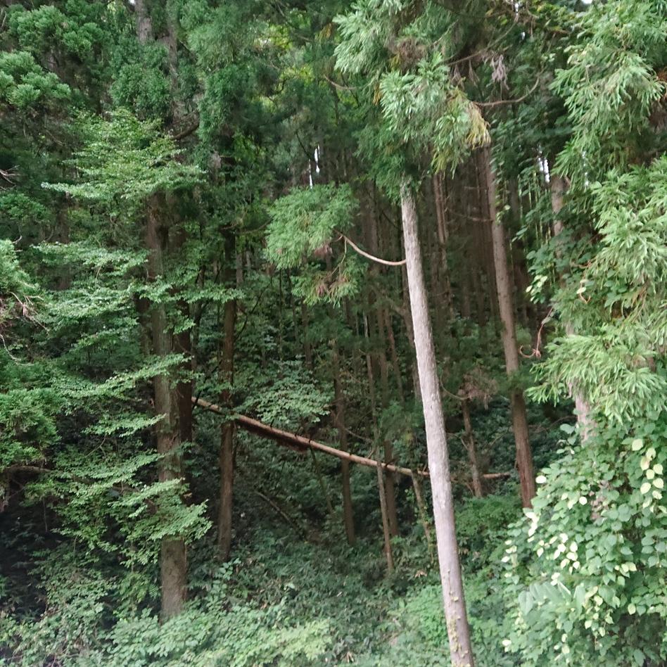 五城目城