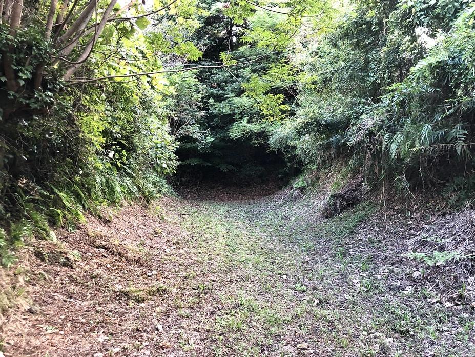 尾高城