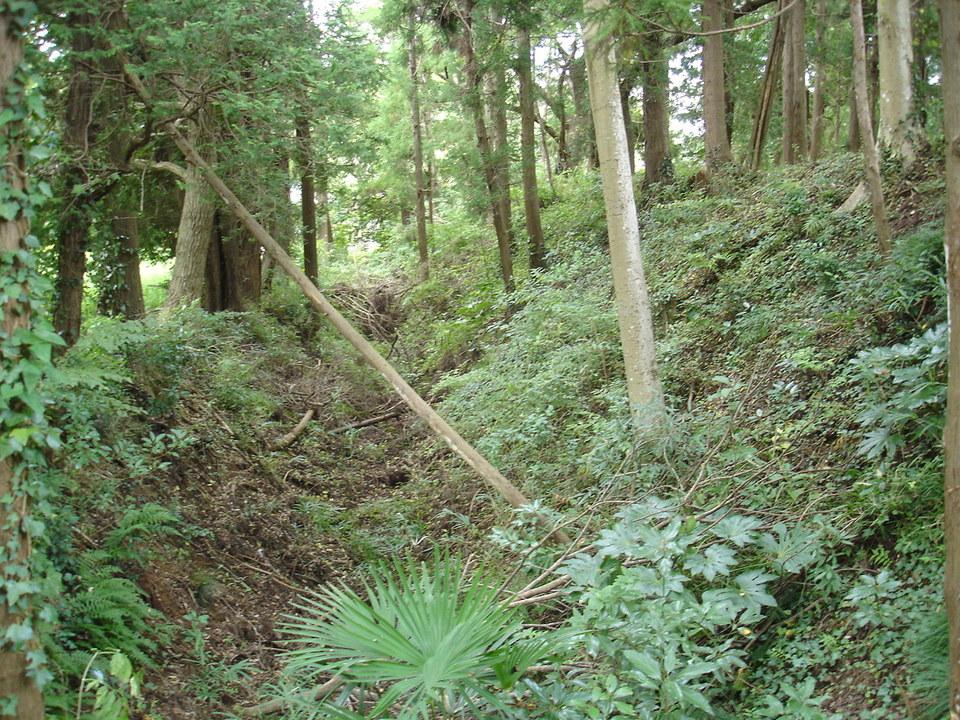 御茶屋御殿