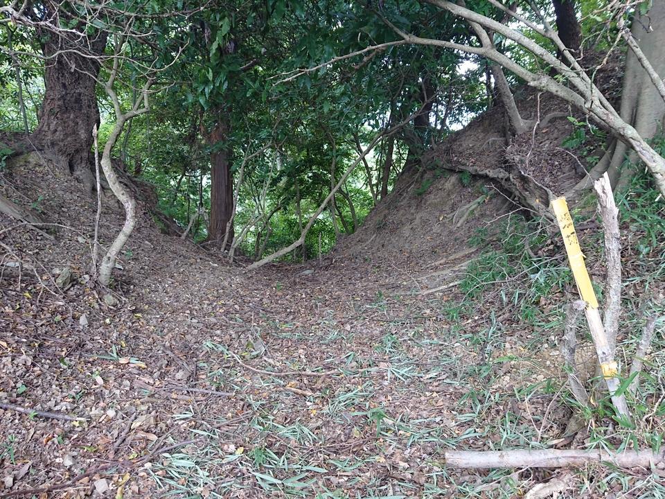 芥川山城