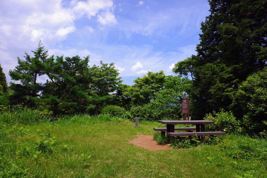 鷹の巣城