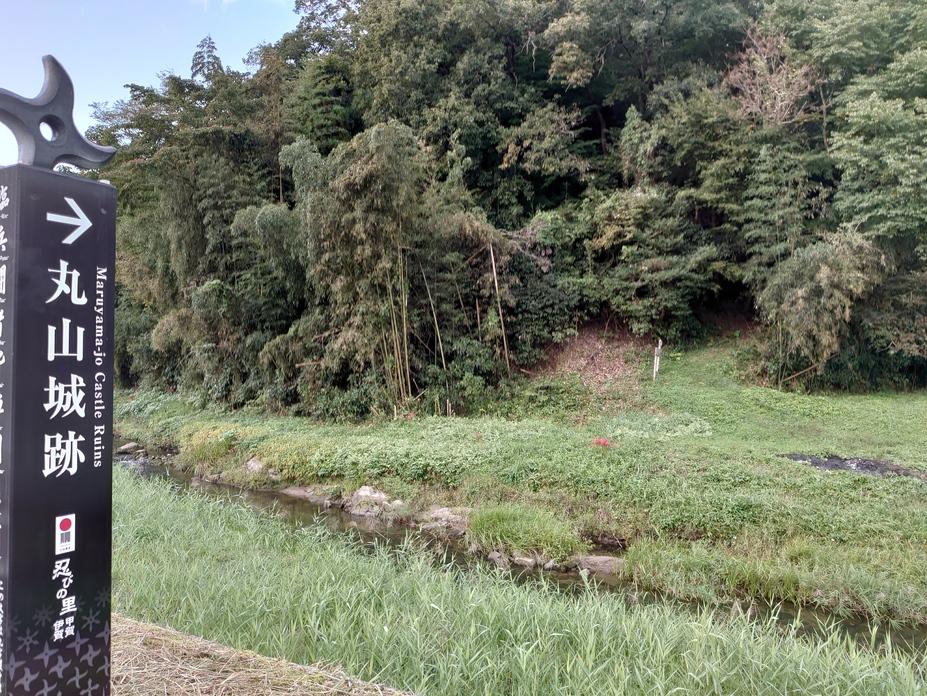 丸山城