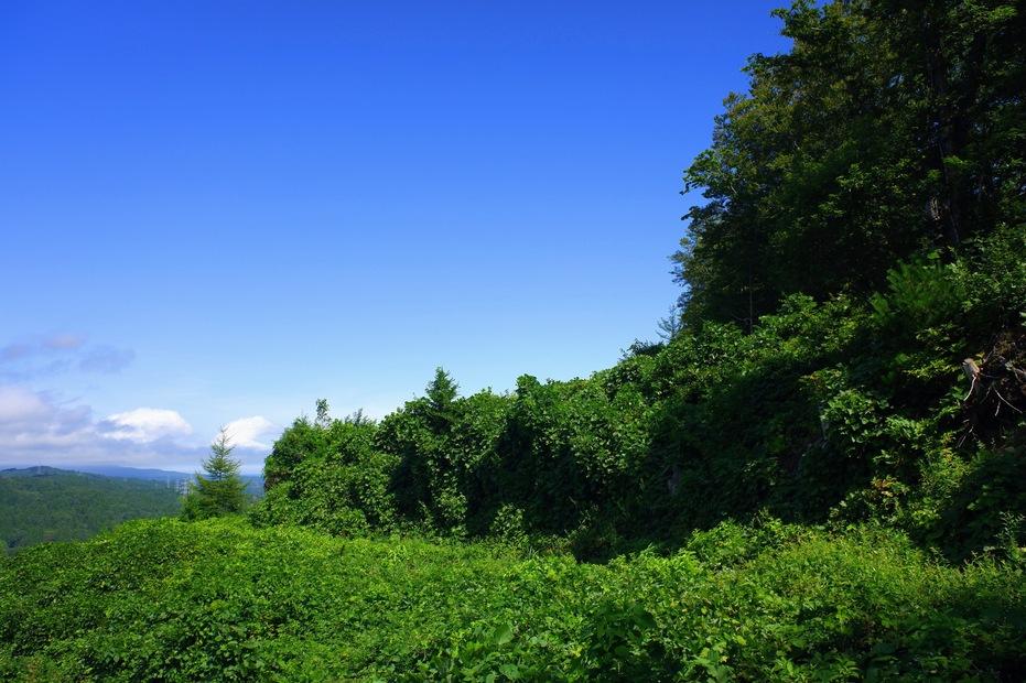 尻八館