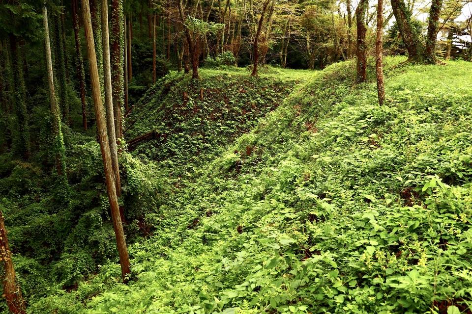 芦野城