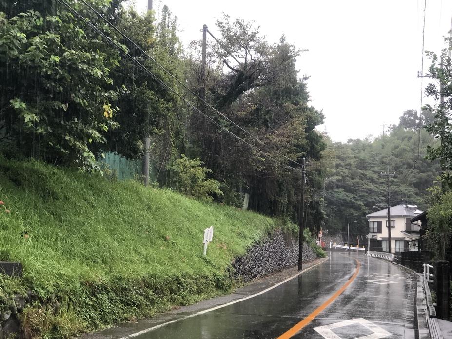 田代城