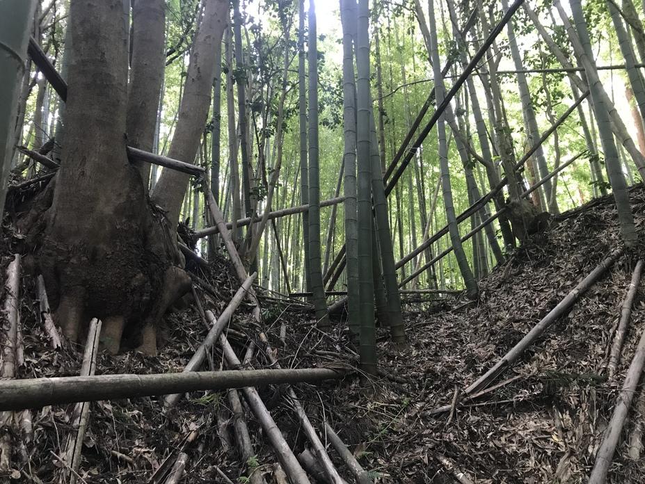 中居城