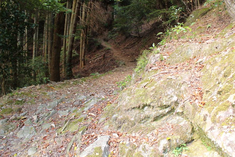 長水城