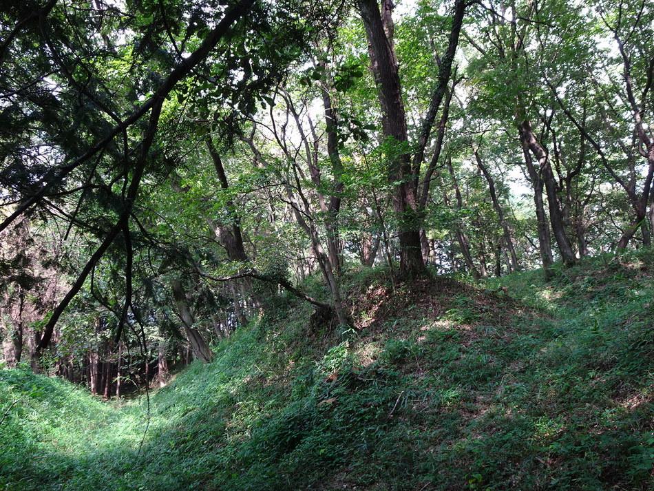 山上城