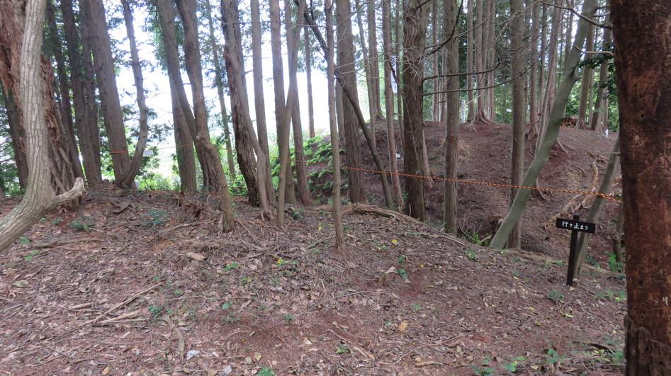 根本城
