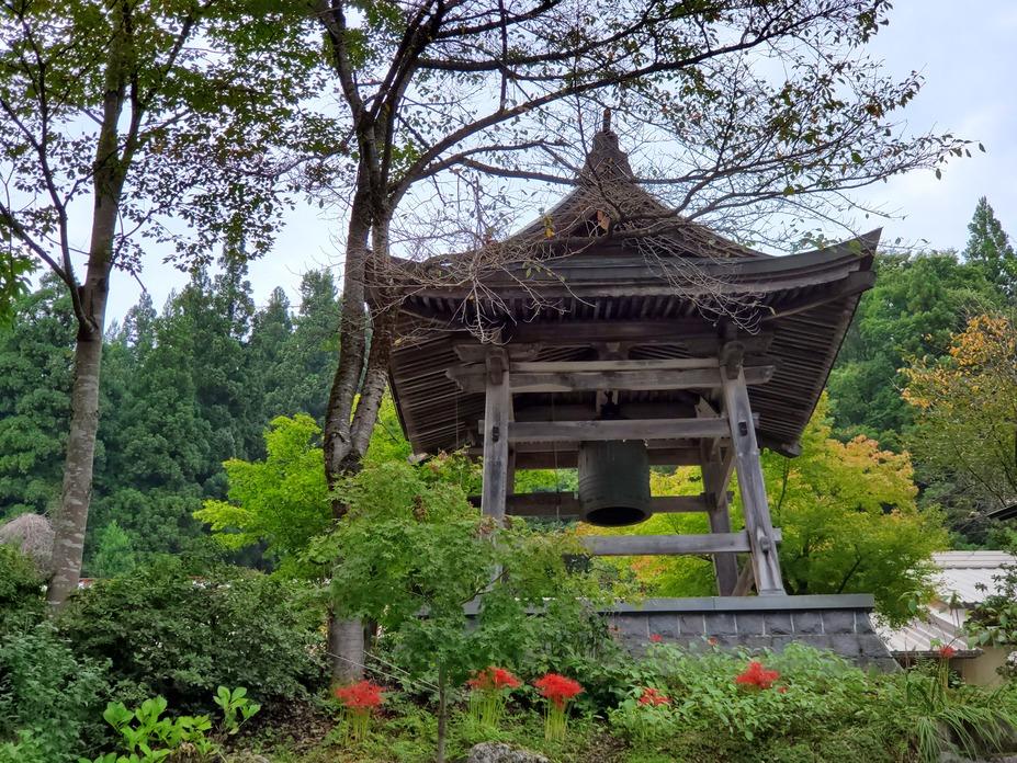樺沢城