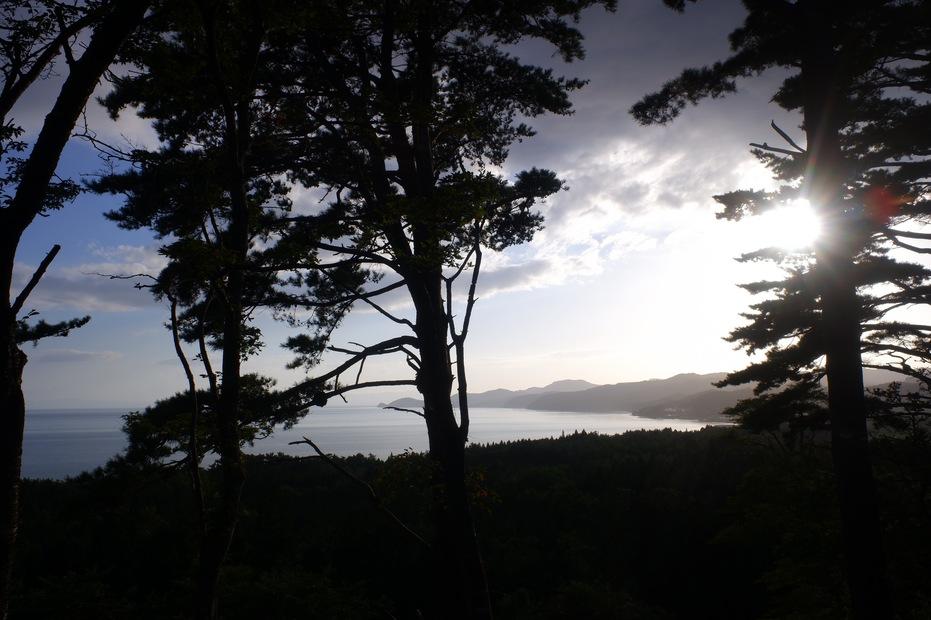 蠣崎城