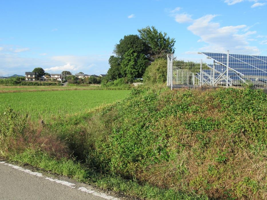 藤岡城