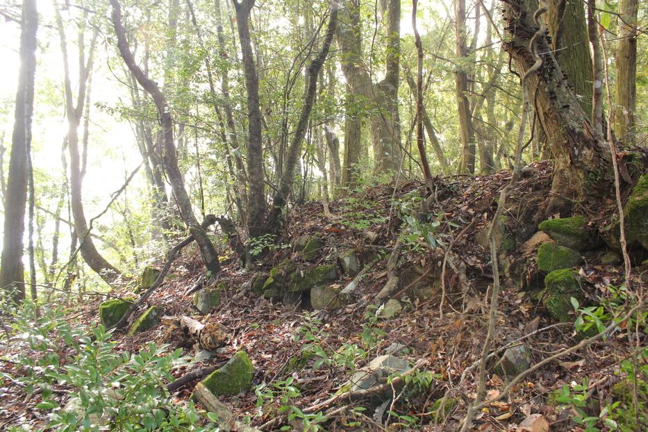 鶴首城