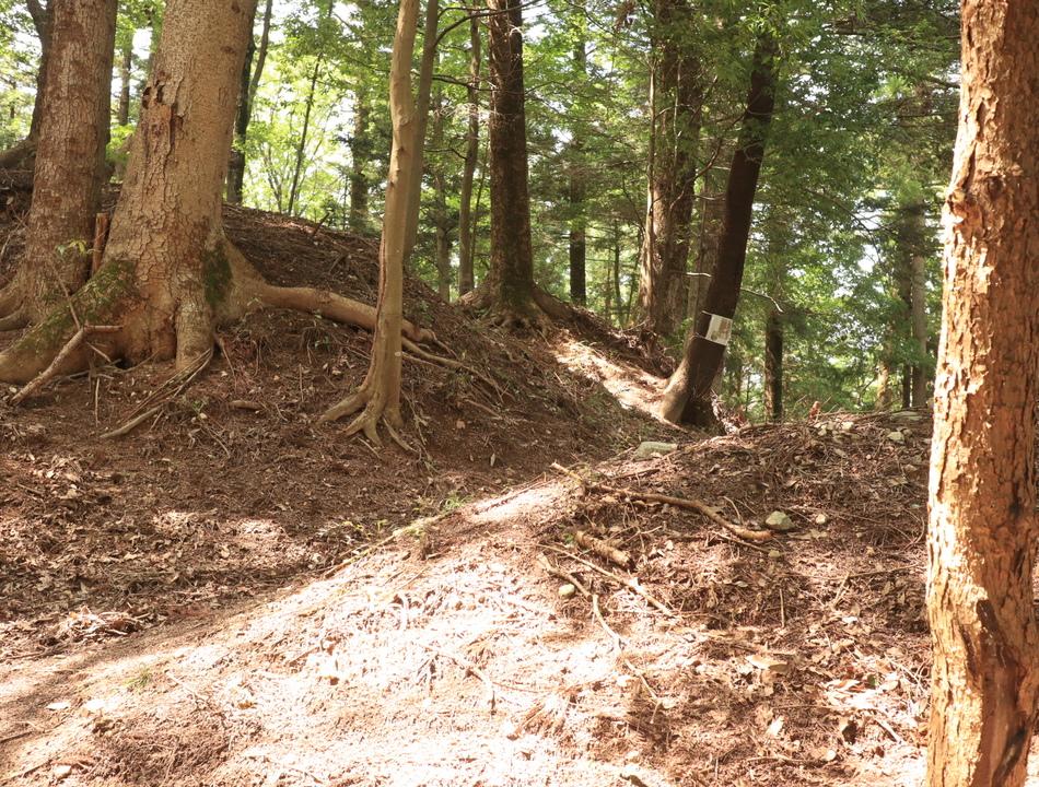 白山城