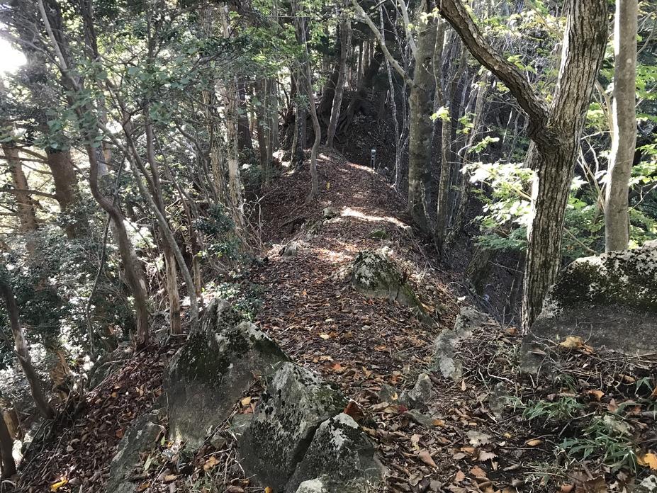 本栖城