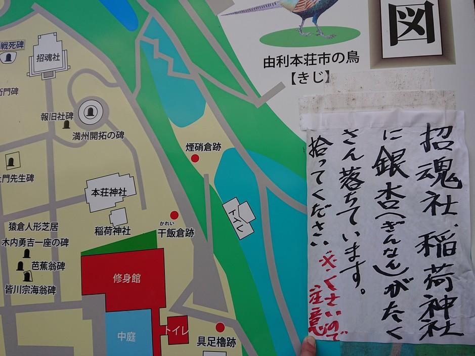 本荘城