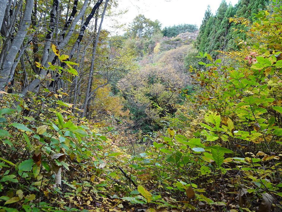 羽根尾城