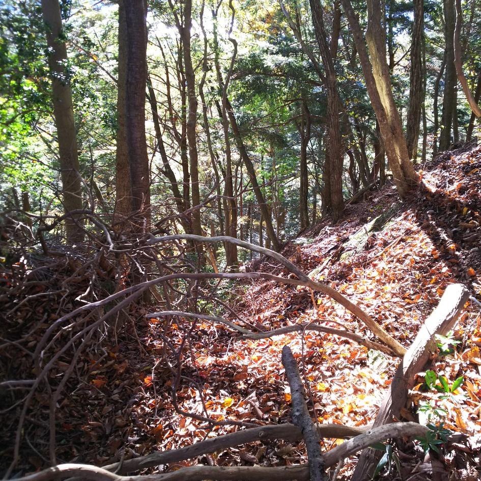 本栖城