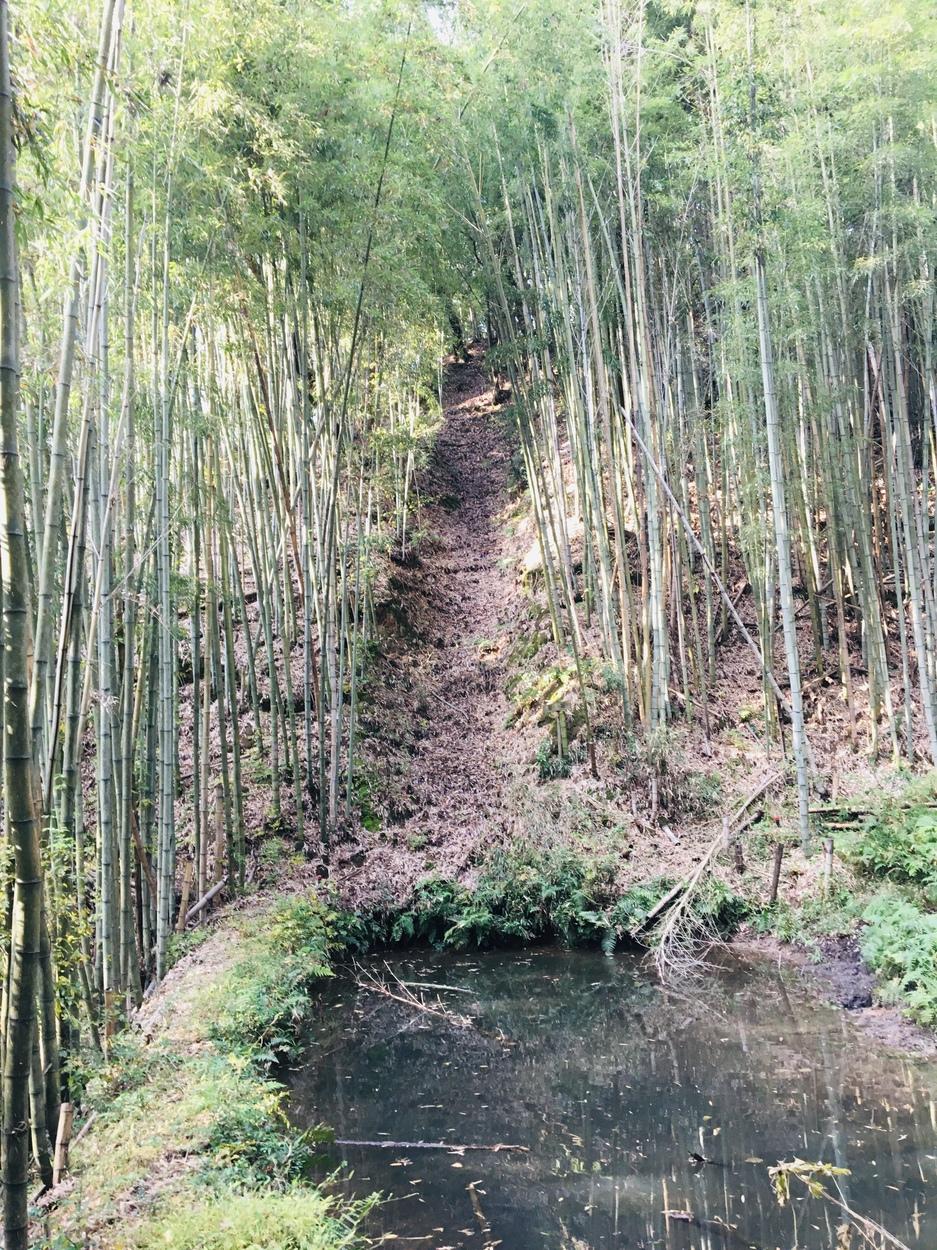 鹿背山城