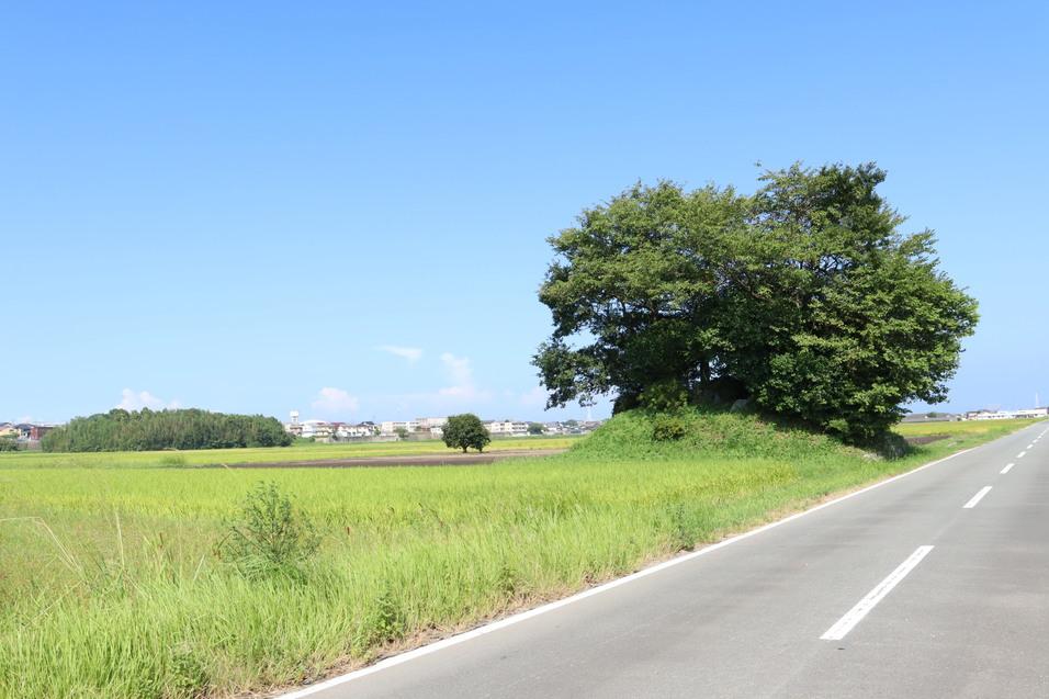 木造城