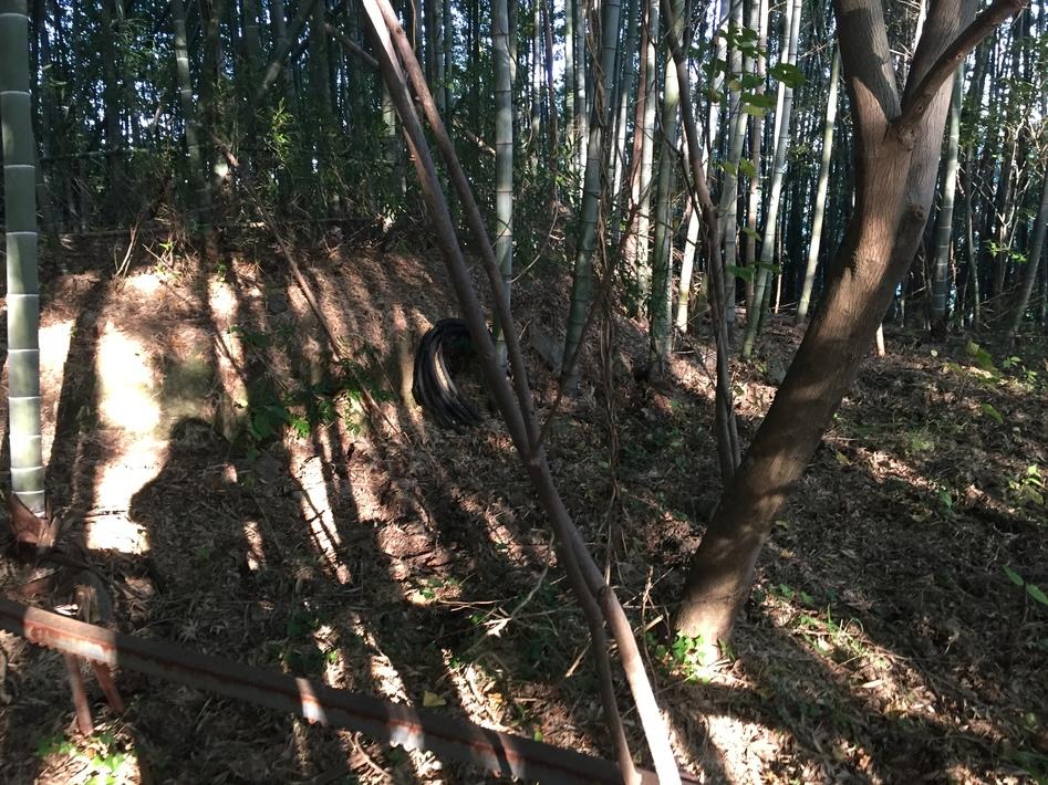 萩森城
