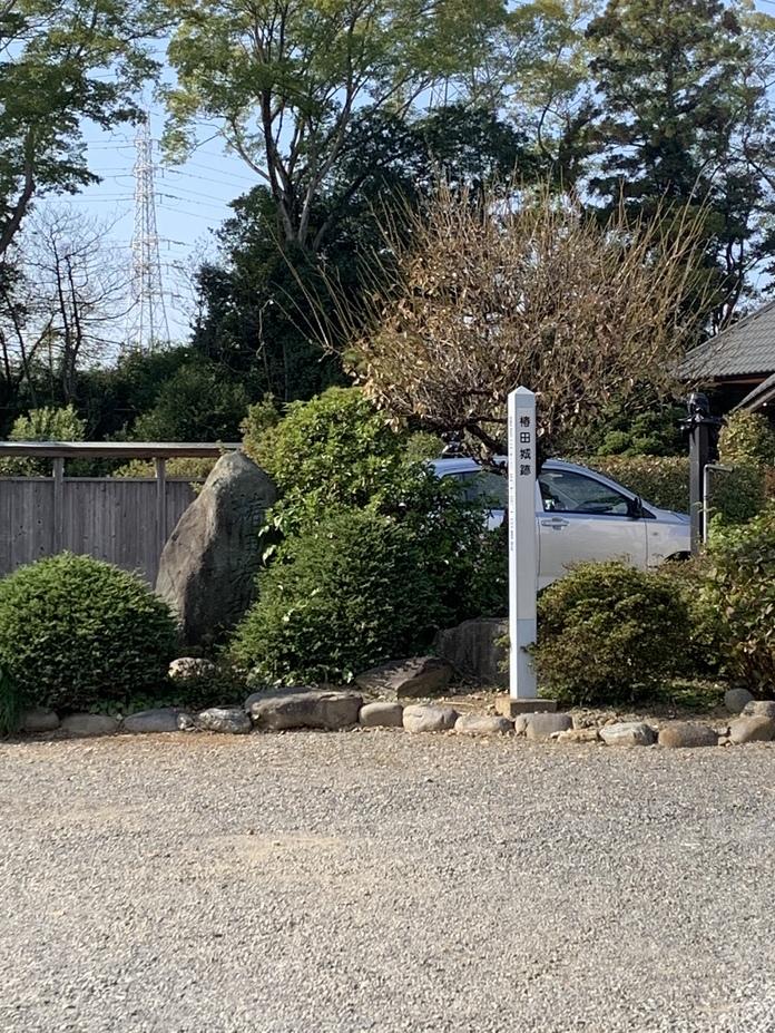 椿田城
