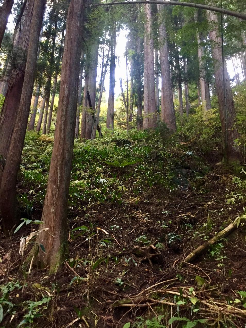 池田館