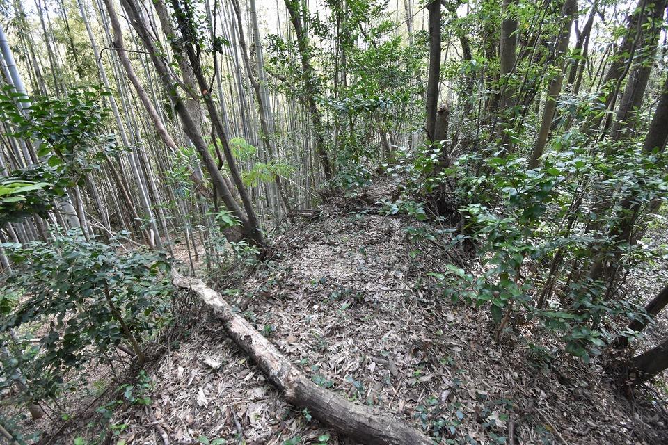 針尾城