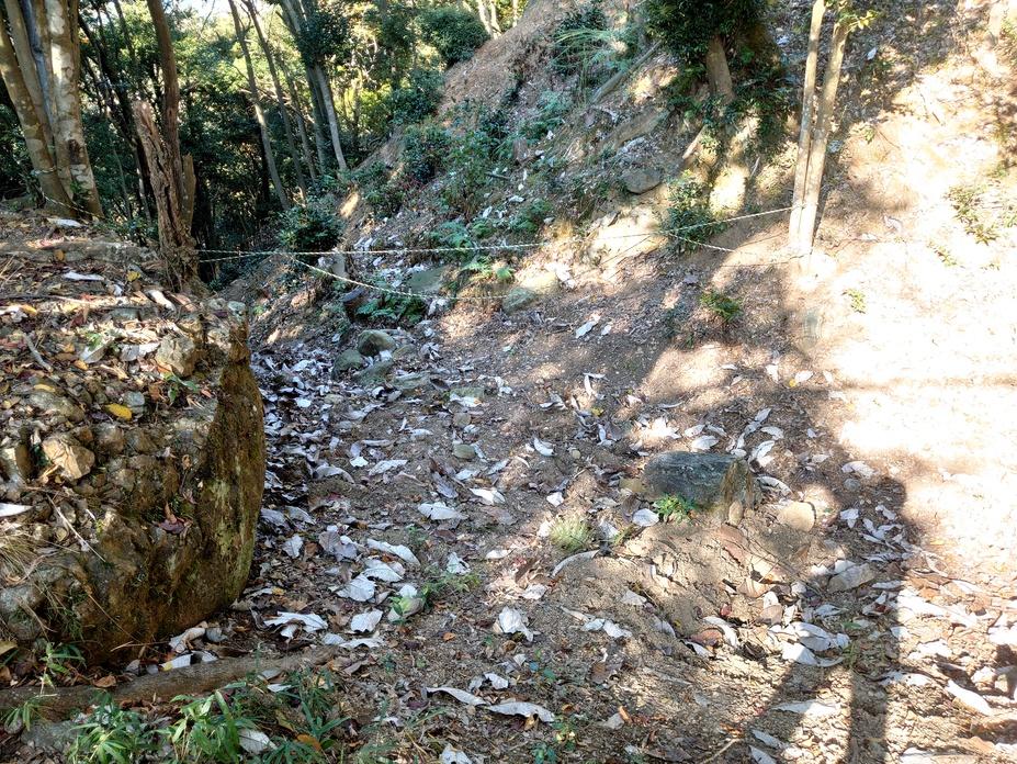 金山城