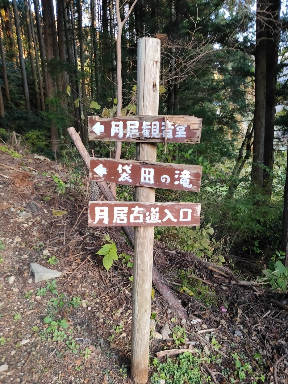 月居城