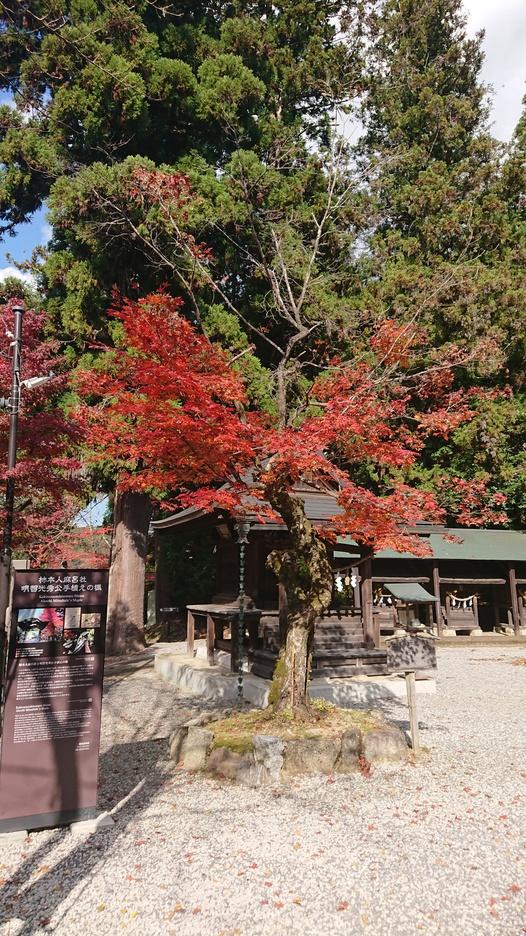 明知城