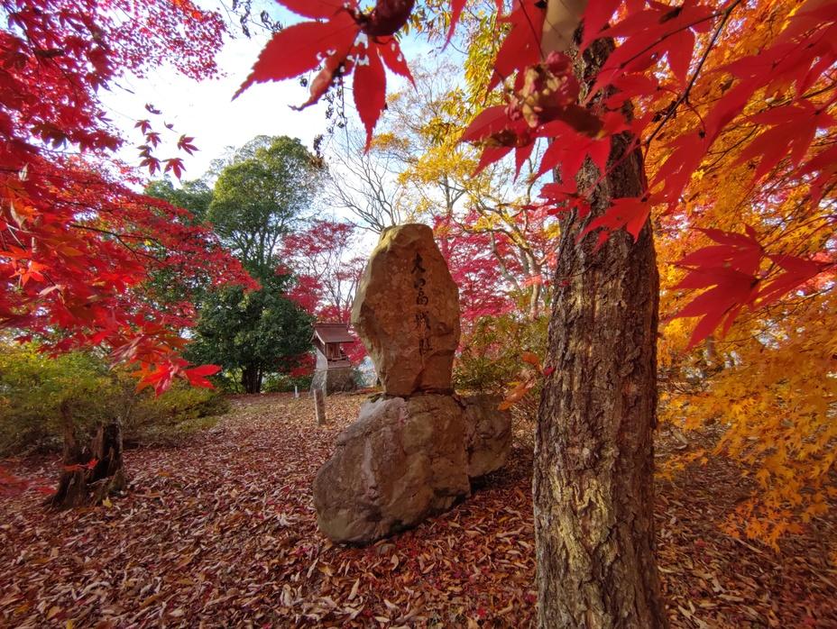 大富山城