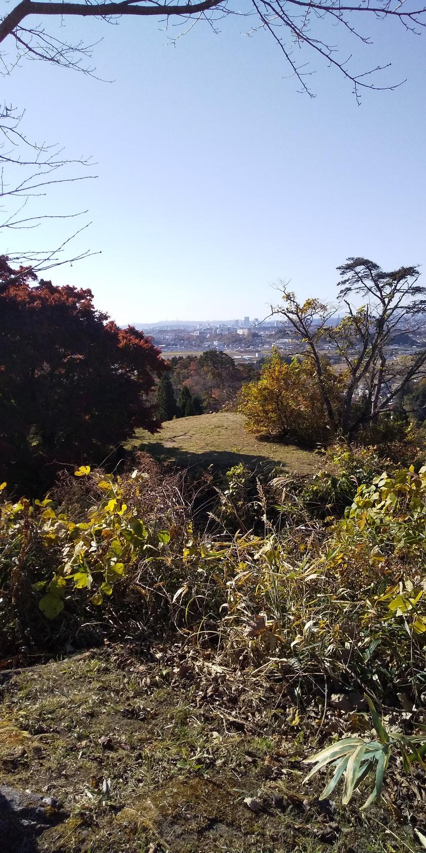 岩切城