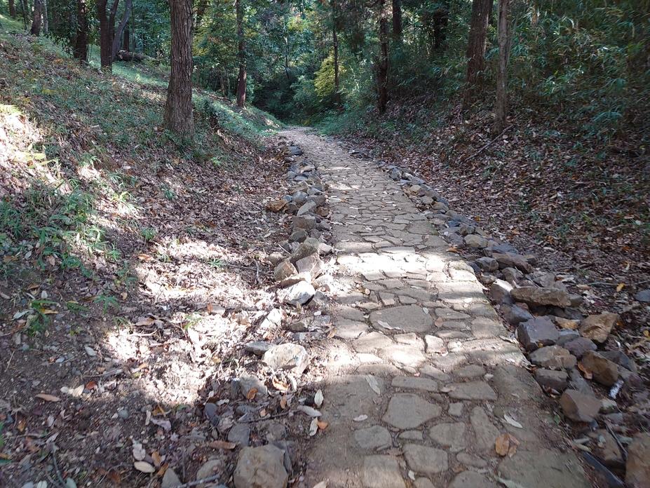 明智長山城