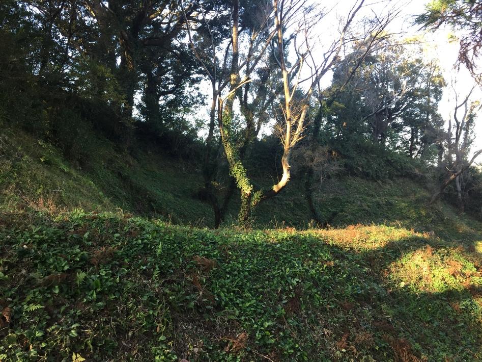 阿波崎城
