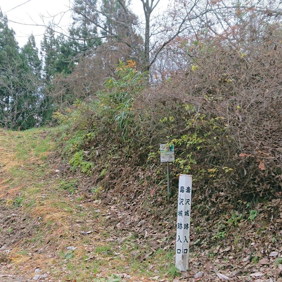 毒沢城