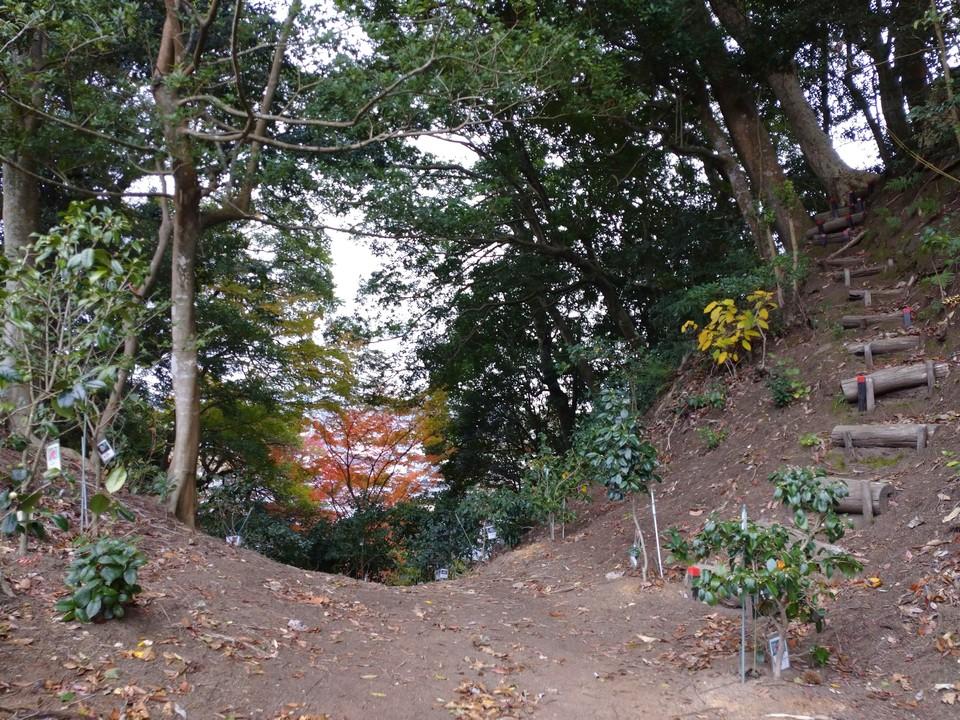 満願寺城
