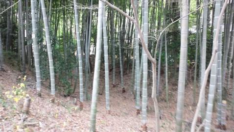 戸張城