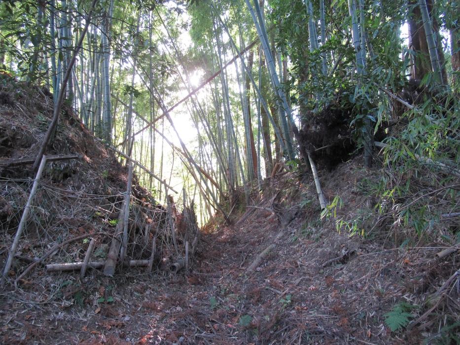 真里谷城
