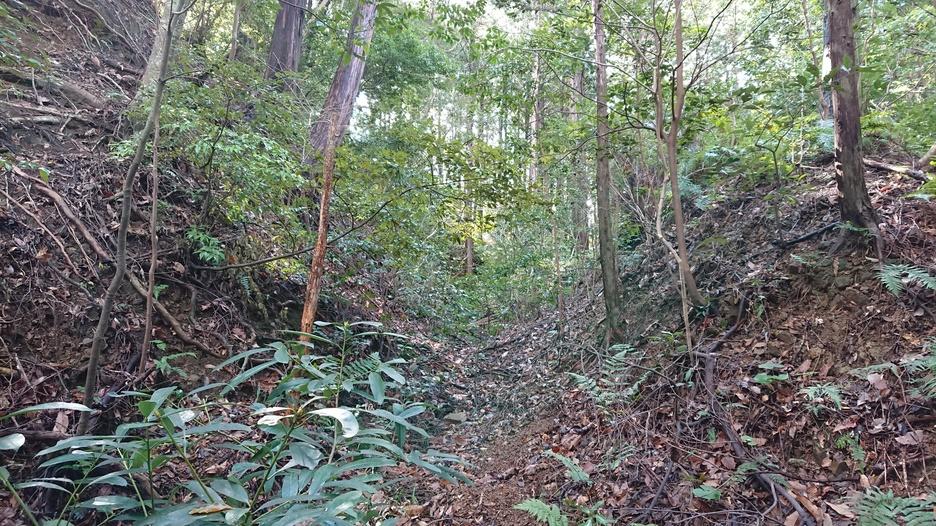 布師田金山城